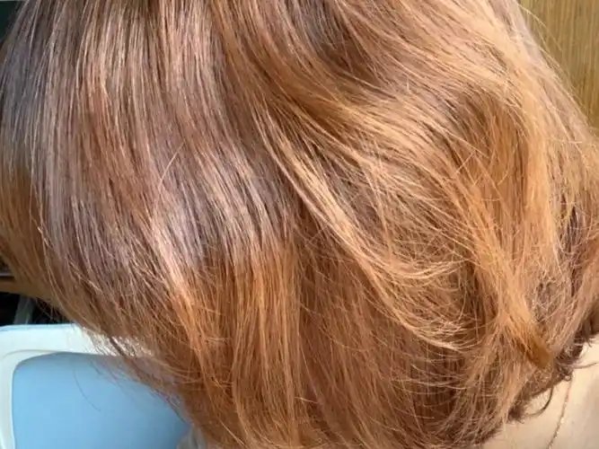 施华蔻泡泡染发剂(奶茶栗棕色)