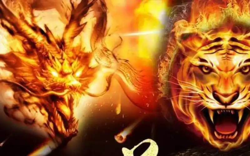 (龙争虎斗)李小龙的一举一动真的全是艺术