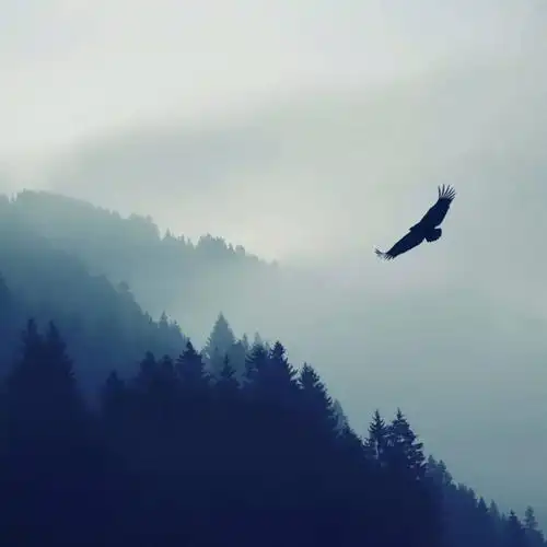 有没有什么适合男生的简约微信头像