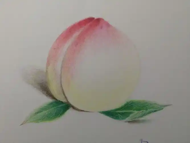 桃子一定要画出亚光的感觉,不能用白彩铅涂.