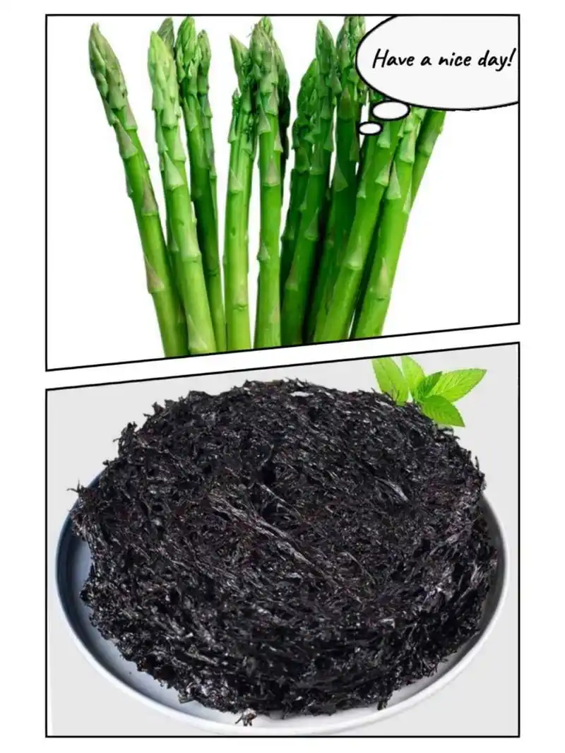 92芦笋 500mg/100g,芦笋学名石刁柏,素有"蔬菜之王"的美誉,还被列为