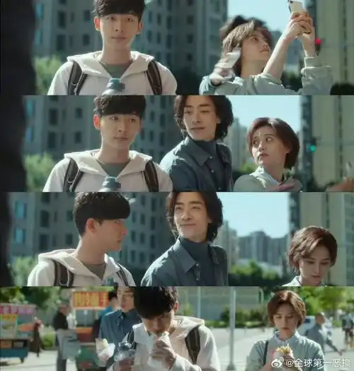 张晚意姜珮瑶郑云龙非凡三小只#我觉得你们三个人就是很好的搭档