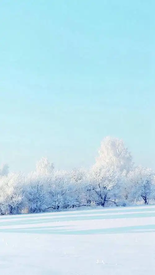 白雪皑皑