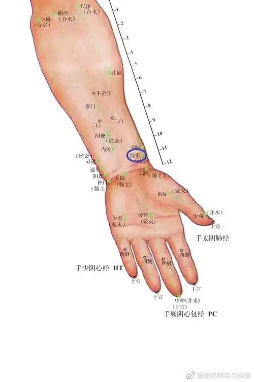 黄药师养生课堂手太阴肺经