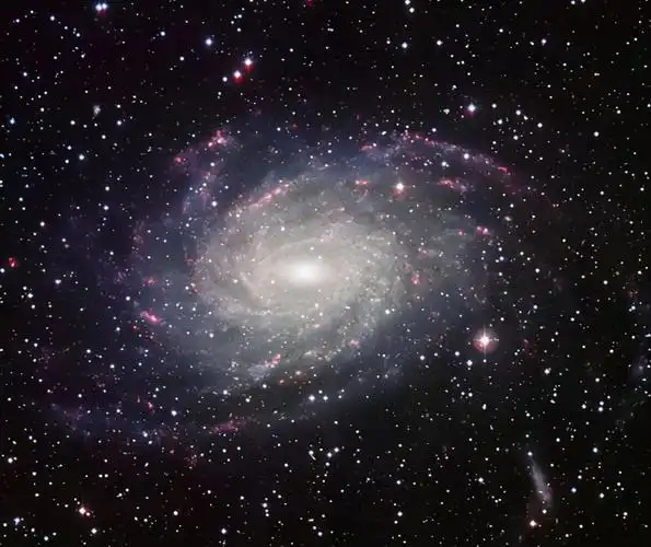 太极图和阴阳鱼的真实意义