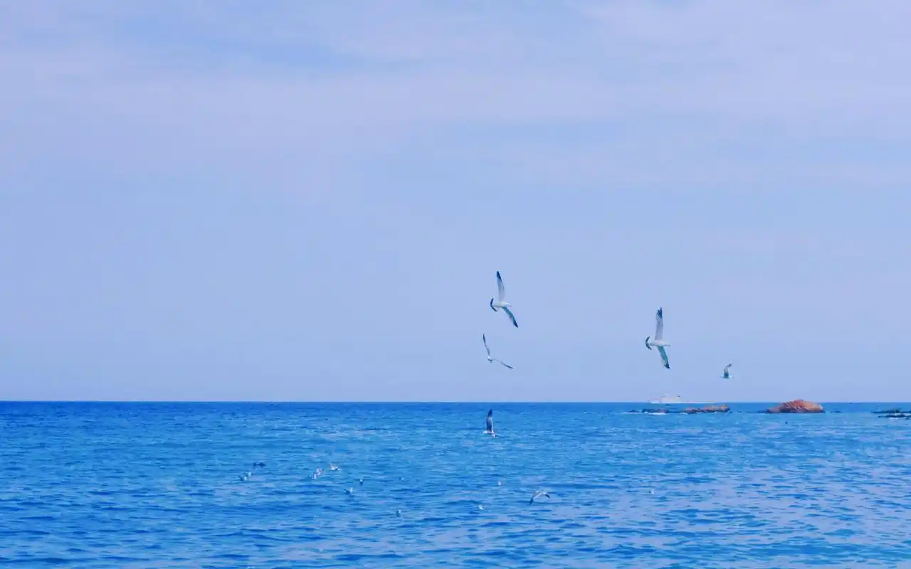 电脑壁纸 风景 夏日蓝色的海洋风光