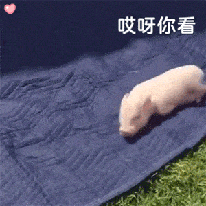 抖音超火表情包:送你一个平安符,保平安的