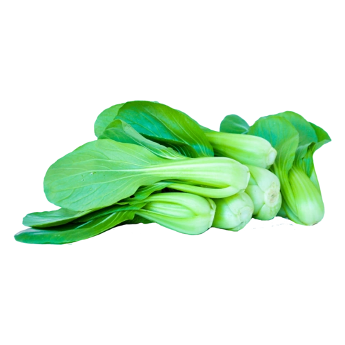 蔬菜油菜健康高清新鲜的蔬菜摄影实拍