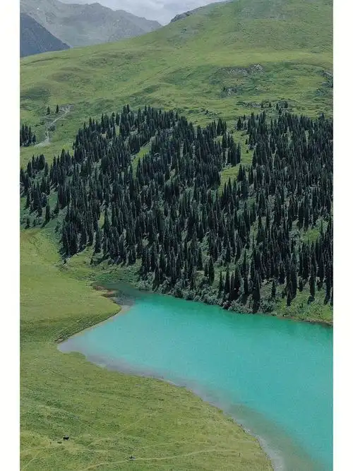 不算是景区,就是一条路,路边都是非常非常美的高山草原森林的风景