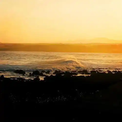 背景图 | 轻舟快船 祝你好过春山_网易订阅