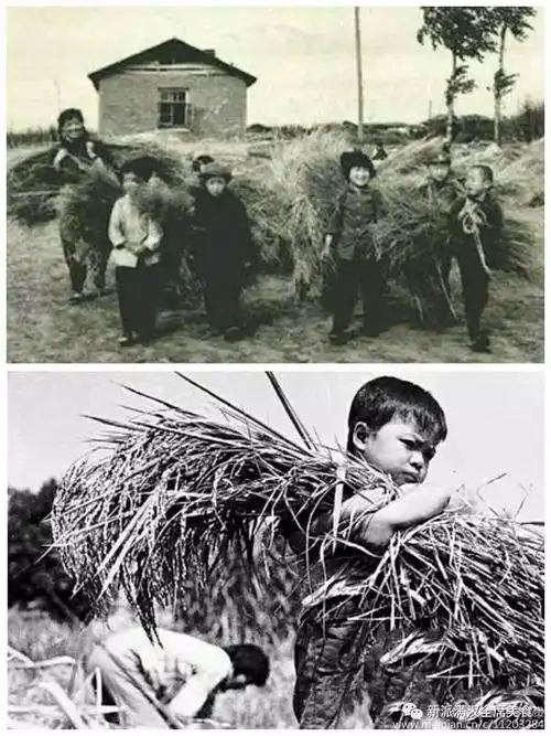 农村老照片那个时代的记忆