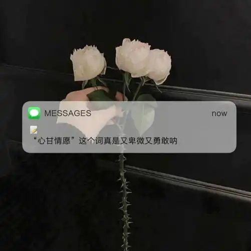 背景图2021323日精选背景图