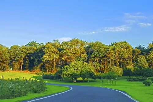 宜兴龙背山森林公园