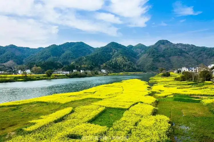 【3月9晚--11日】春暖花开,徒步新安江山水画廊,赏石潭菜花,观徽派屯