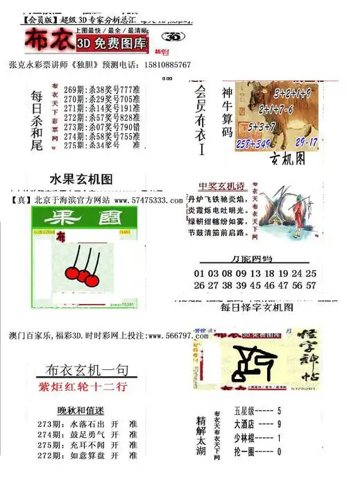 真精华会员布衣1