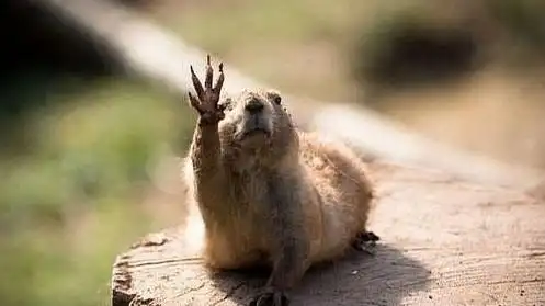 如果要公放请关窗关门避免邻居/同事对你阴森森地侧目.