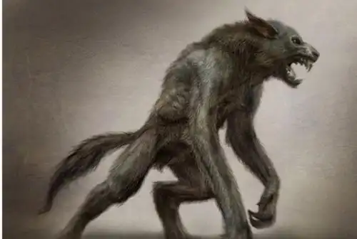 巴西小镇疑似拍到狼人 1.5米高全身黝黑影像曝光(图)