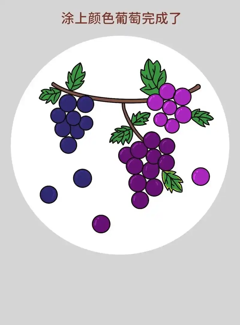 一学就会的葡萄简笔画,超级简单 - 抖音