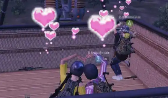 独一无二的吃鸡情侣名两个字