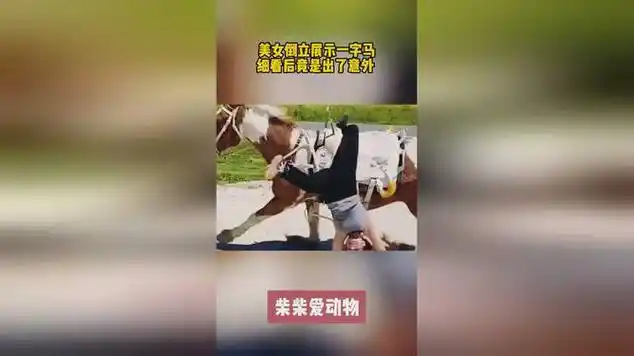 美女倒立展示一字马,细看后竟是出了意外|劈叉_网易视频