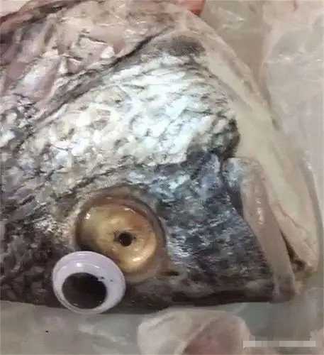 宝妈买回一条鱼,回家准备处理时,鱼的眼珠掉下来,女子不淡定了!