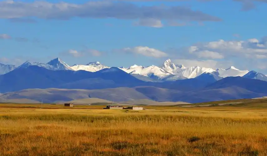 阿里无人区-草原湿地