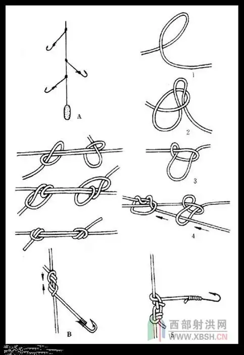 献给喜欢钓鱼的朋友