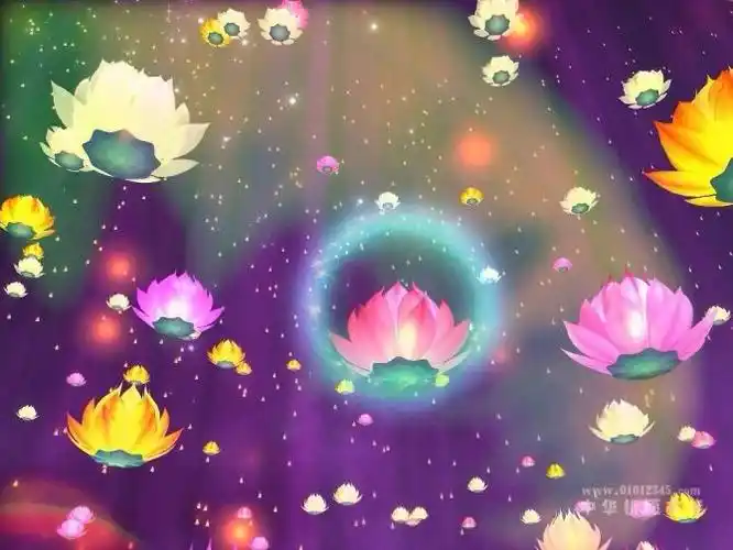 带您去看看极乐世界