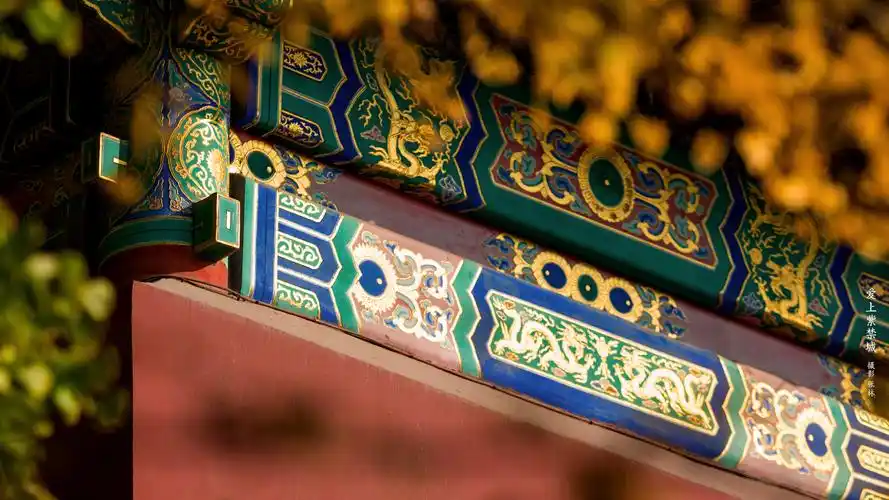 爱上紫禁城 - 故宫博物院 - 故宫壁纸