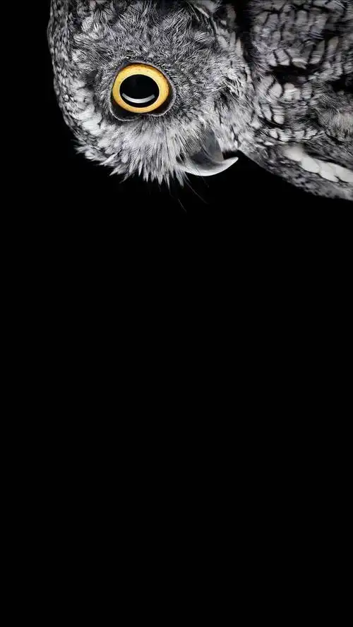 【壁纸分享】暗黑色系 精品壁纸-手机主题-vivo智能手机v粉社区