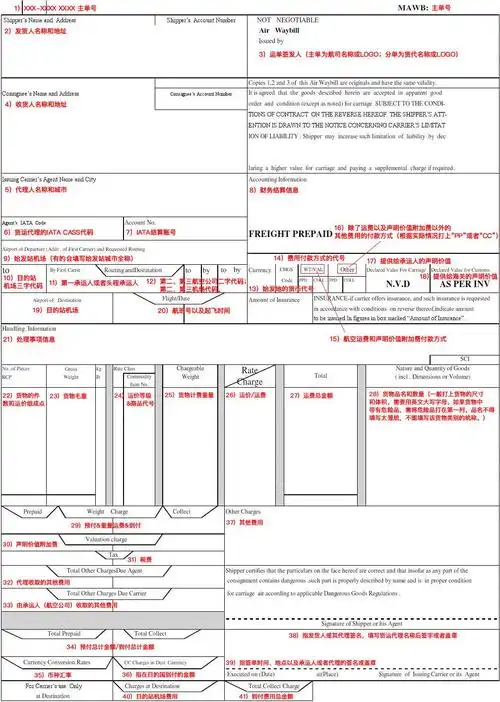 海空运提单各栏内容全方位解读