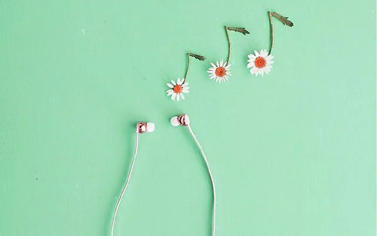 设计创意 小清新绿色背景创意图片桌面壁纸上一张 下一张 2021年正