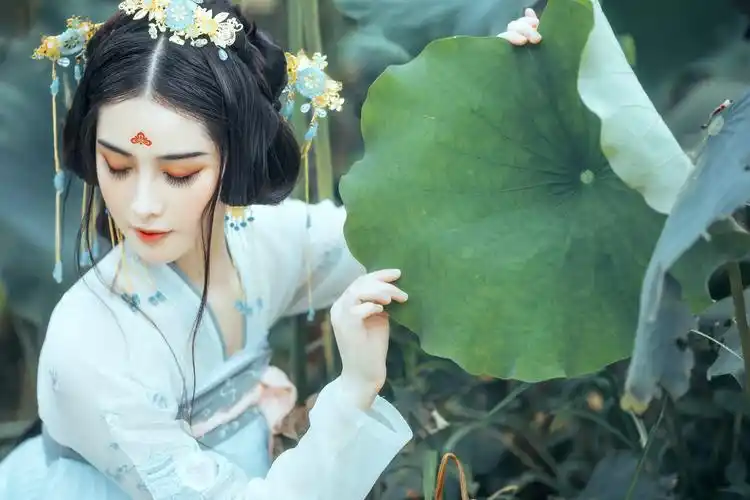 高清沉鱼落雁般的古装女子电脑桌面壁纸-美女壁纸 - 壁纸家