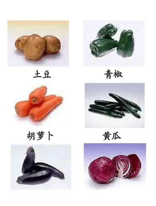 海峡幼儿园蜜桃班《认识蔬菜》