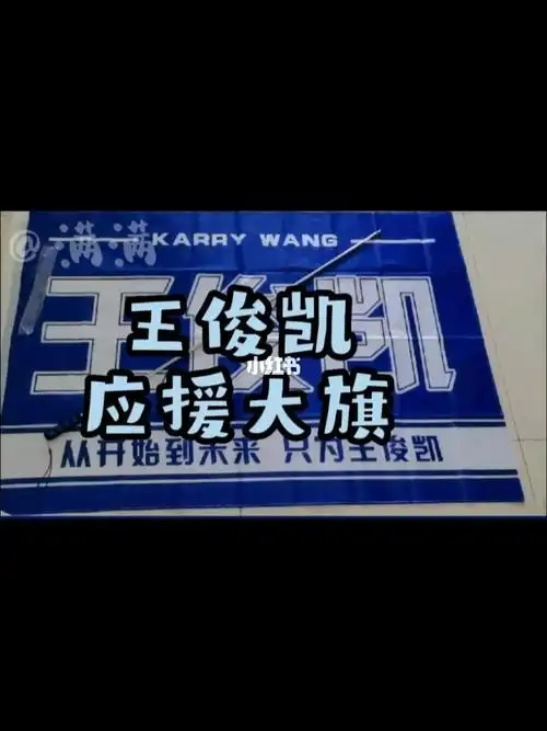 tfboys  #王俊凯  #王俊凯周边  #tfboys九周年线下应援  #tfboys揪