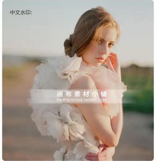 水印制作 简约时尚大牌水印设计 照片图片防盗水印logo 半透明