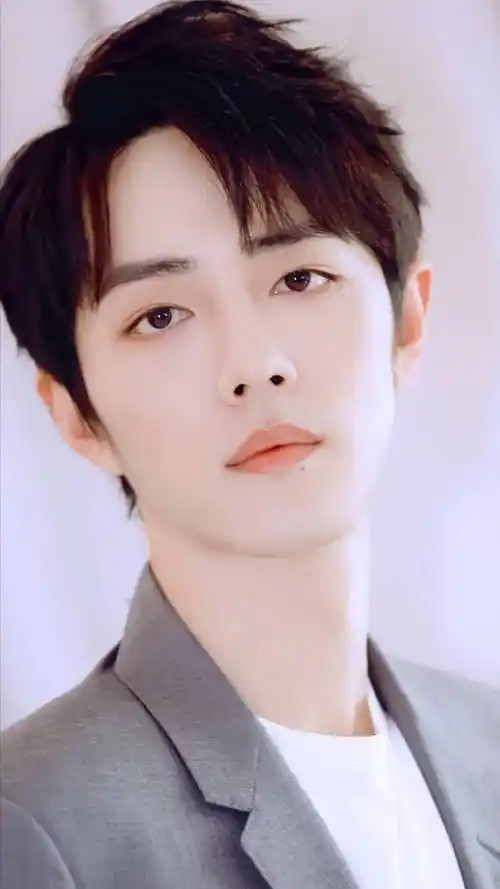 肖战灰色西装帅气写真 肖战个人资料图片