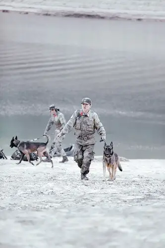《奇兵神犬》张大大野外训练指挥搭桥徒手上陡坡