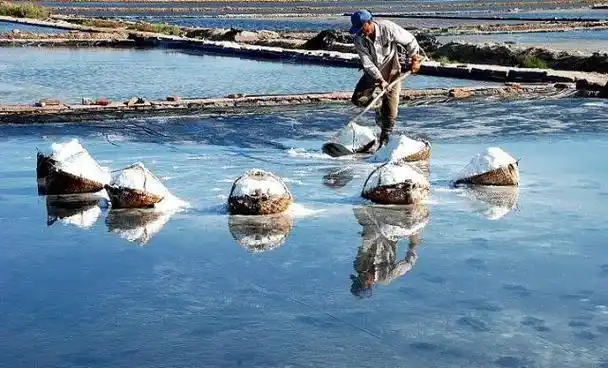 减少盐摄入,可避免高血压?