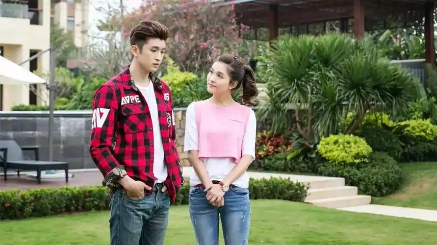 《神犬小七2》《麻辣变形计》霸屏暑期档,高收视从何而来?