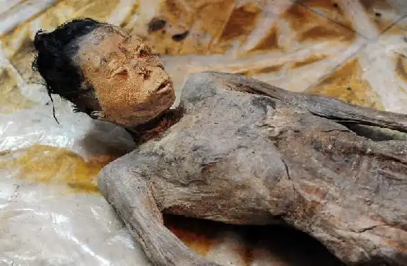 古墓疑云之古尸之谜