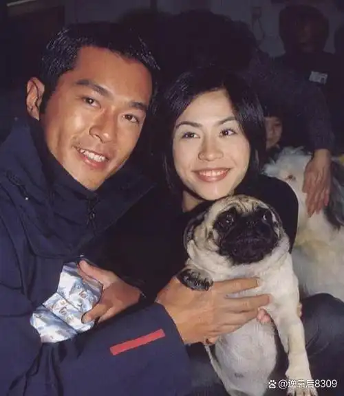 古天乐和宣萱,是朋友还是知己,但是很多人希望他们是真正的情侣