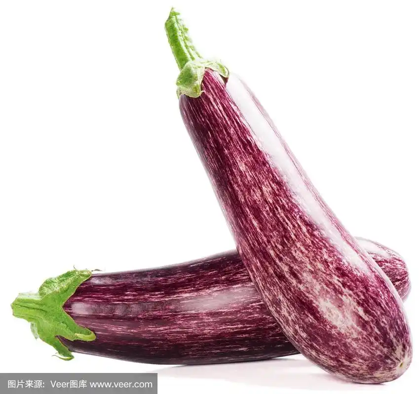 两个新鲜的条纹茄子