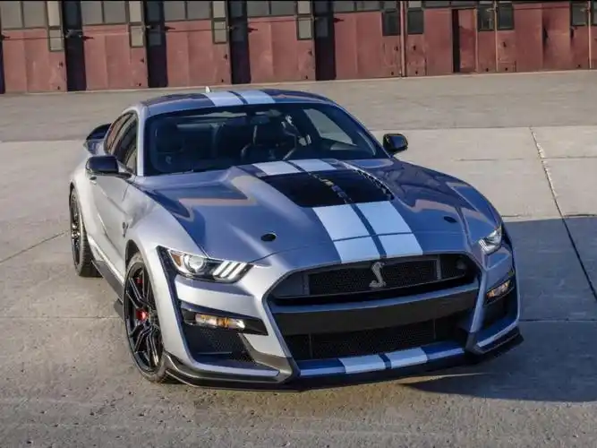 要不要蹦一下我蛇标野马