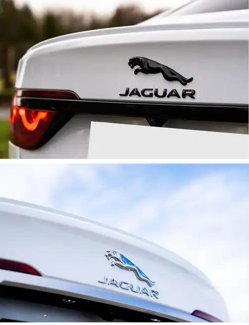 捷豹xe车标xel字母标xfl字标xjl车贴fpace专用v6标志30尾标50排量标