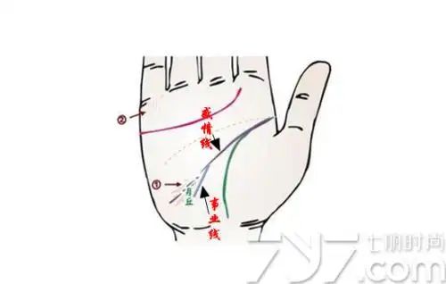 手相上什么是太阴丘(月丘) 月丘上的线