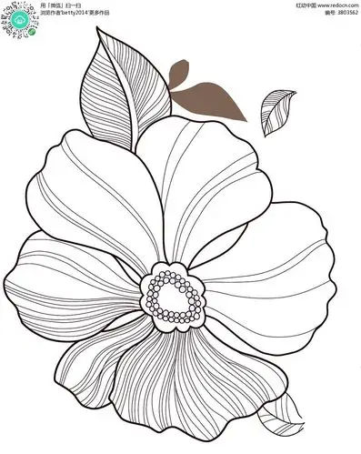 简约线条花朵psd素材