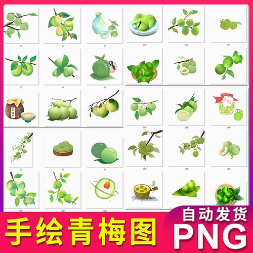 卡通手绘水果青梅图案素材图片装饰元素插画 png透明背景 不抠图