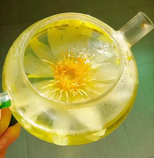 现货九品香水莲干花 黄色九品香水莲花茶 金莲花干花