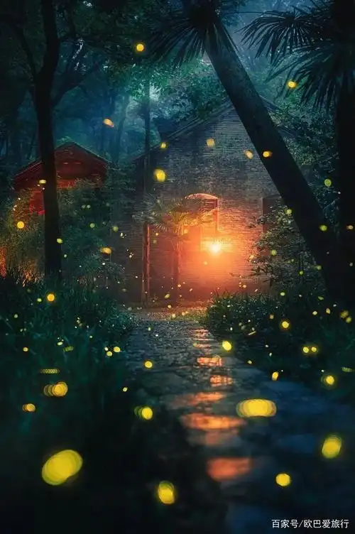 去灵谷寺吧,到来晚上,萤火虫漫天飞舞,照亮夜空,它有一个唯美的